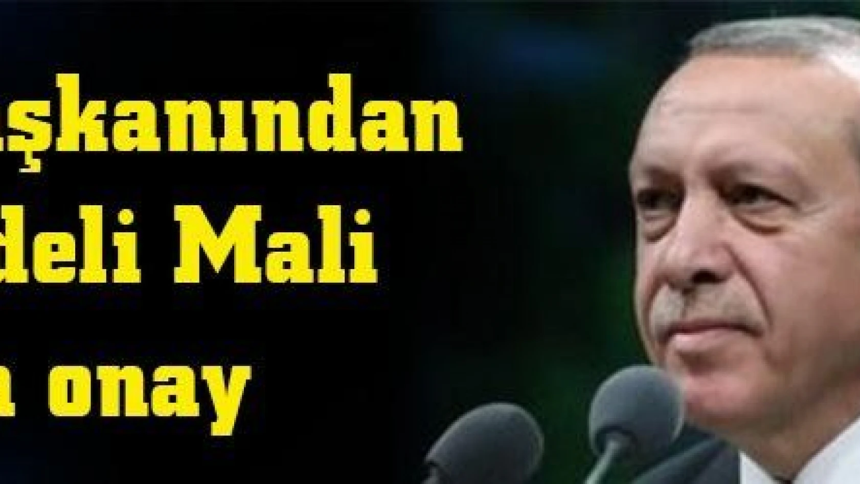 Cumhurbaşkanı Erdoğan'dan Orta Vadeli Mali Plana onay