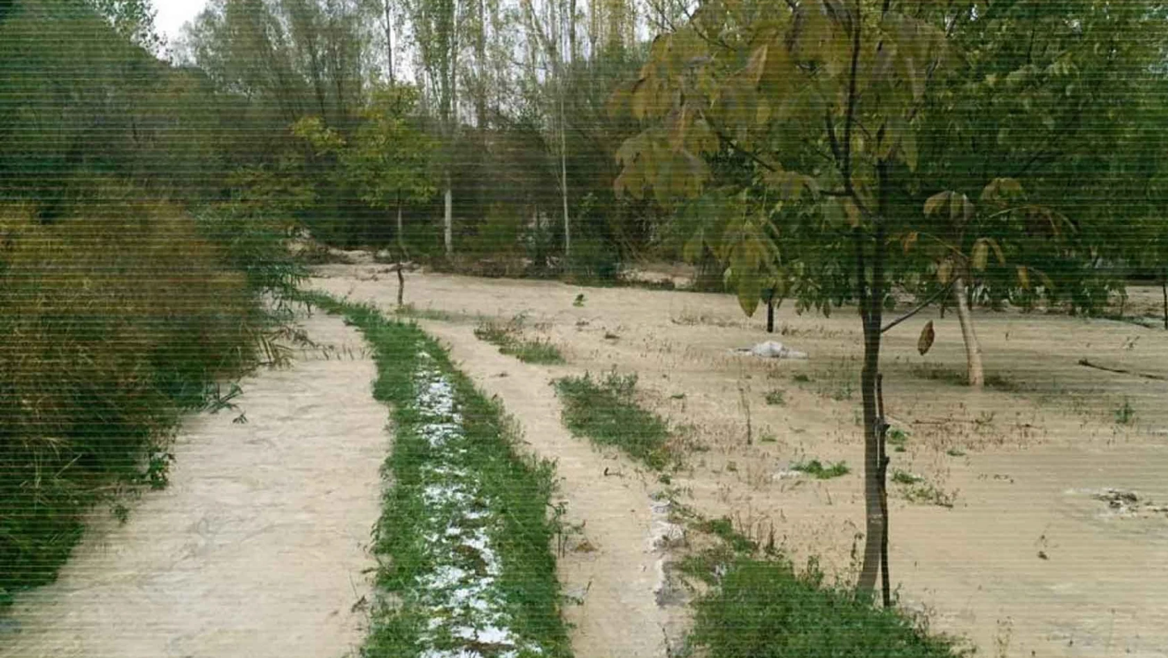 Sivas 'ta tarım arazileri sular altında kaldı 