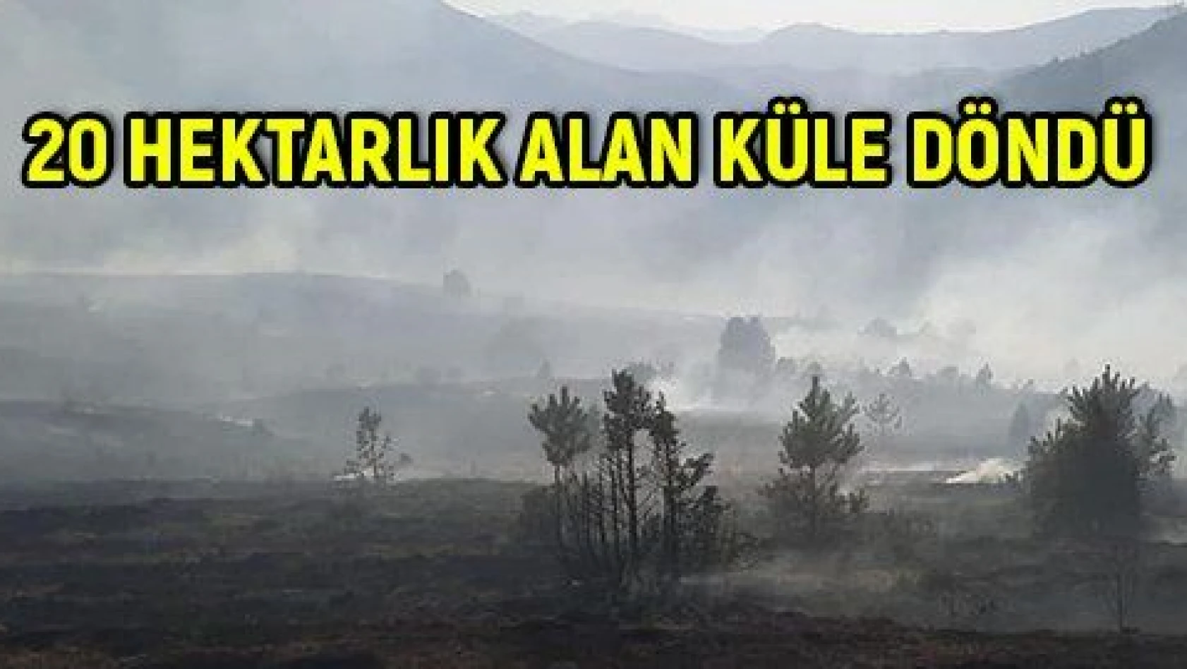 Sarız'da çıkan yangında 20 hektarlık alan kül oldu