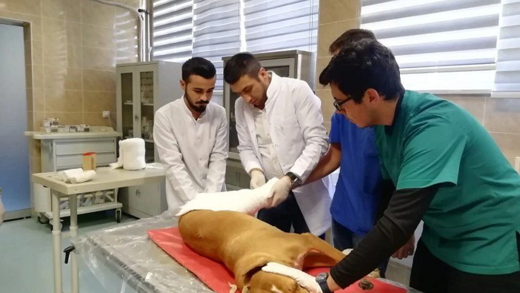 'İç Anadolu bölgesinin en geniş kapsamlı hayvan hastanesi olmak için çalışmalarımız devam ediyor'
