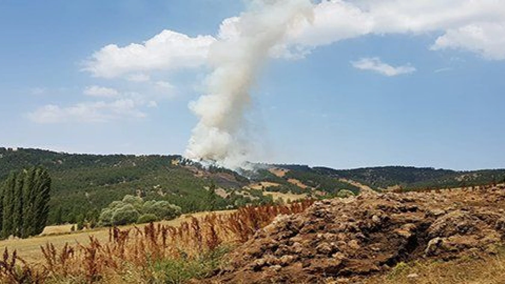 Yozgat'ta 3 hektarlık alan kül oldu 