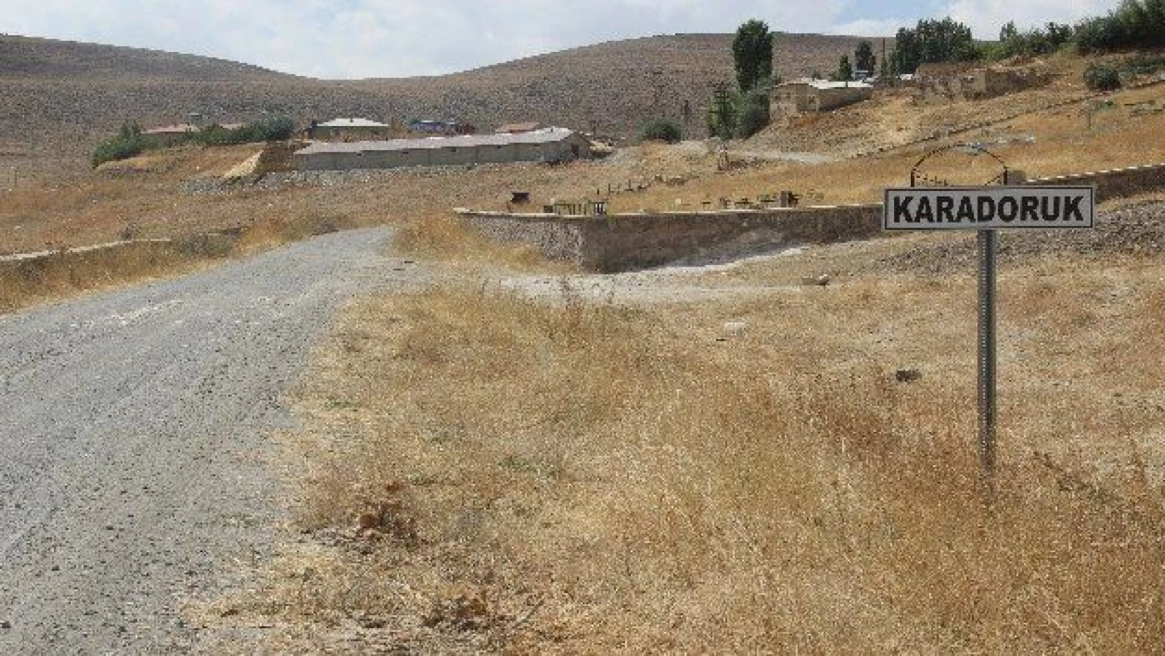 Sivas'ta şarbondan ölümler sürüyor