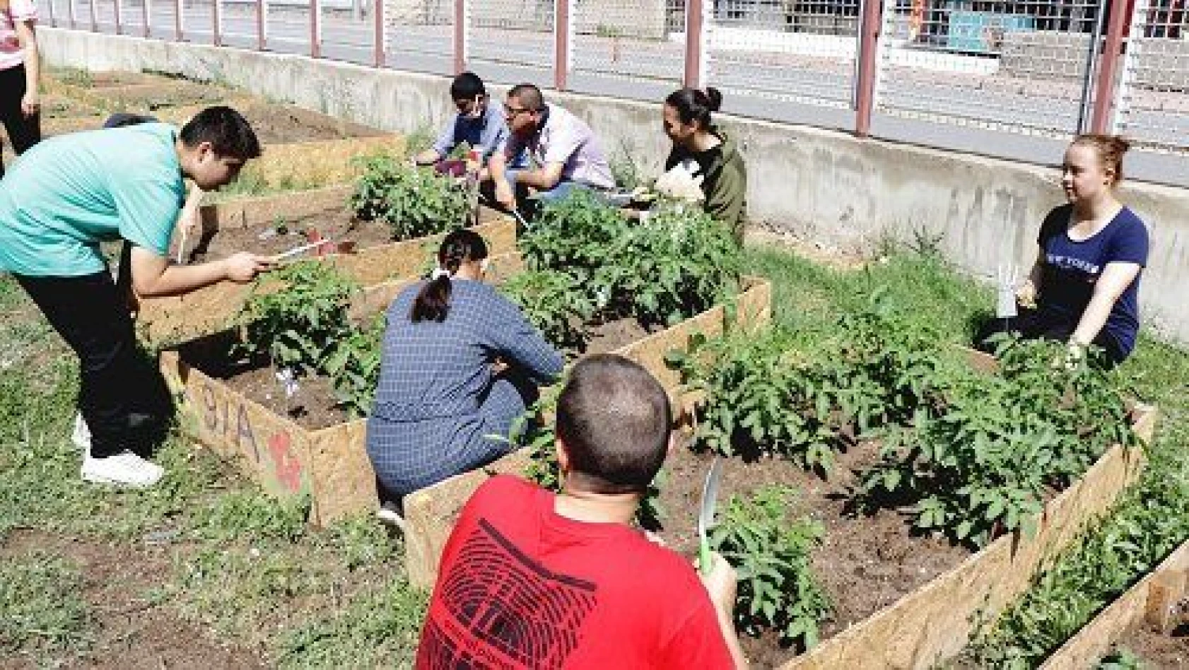 Özel öğrencilere okul bahçesinde doğayla iç içe eğitim