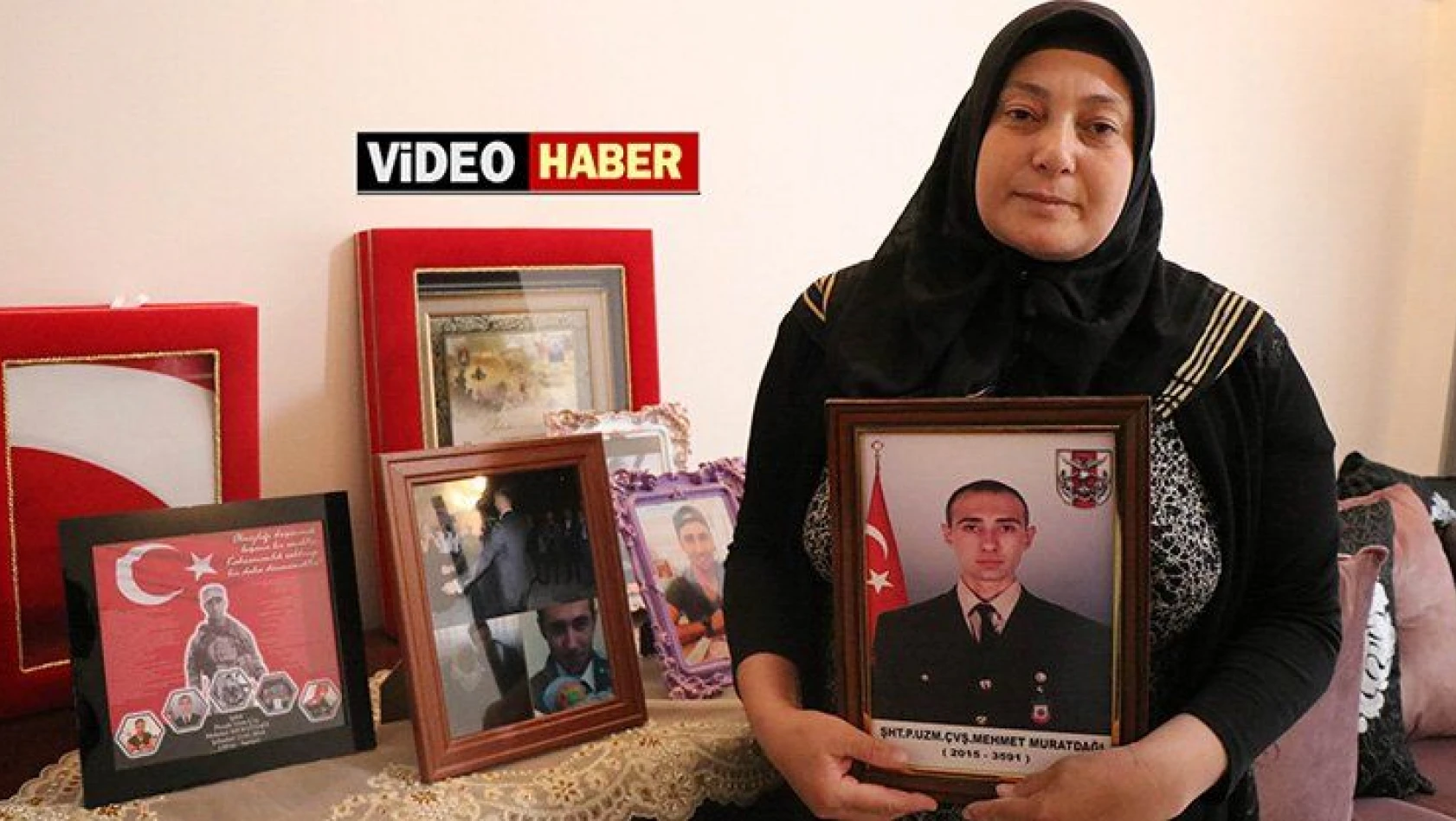 Afrin şehidinin annesi: 'Devlet teröristleri beslemesin, idam etsin'
