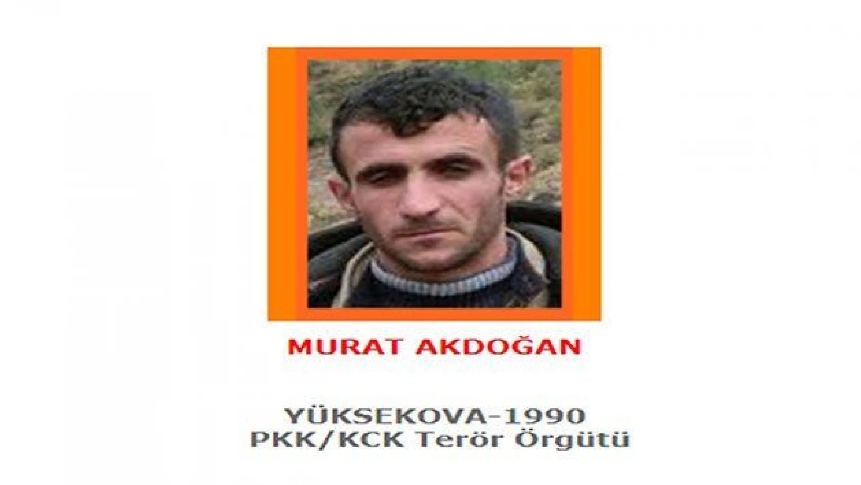 Turuncu listede yer alan terörist öldürüldü