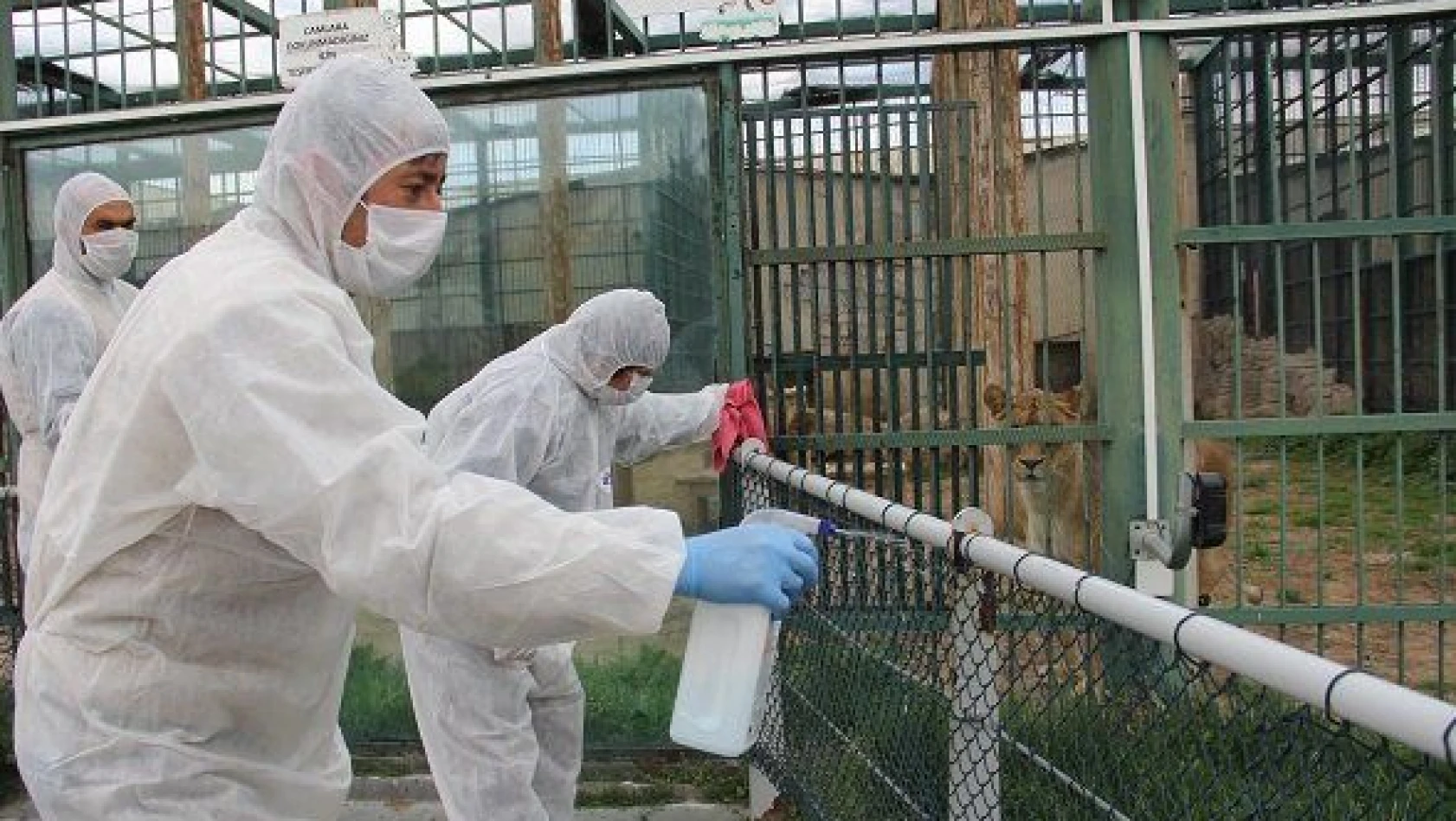 Kayseri'deki hayvanat bahçesinde koronavirüs önlemleri