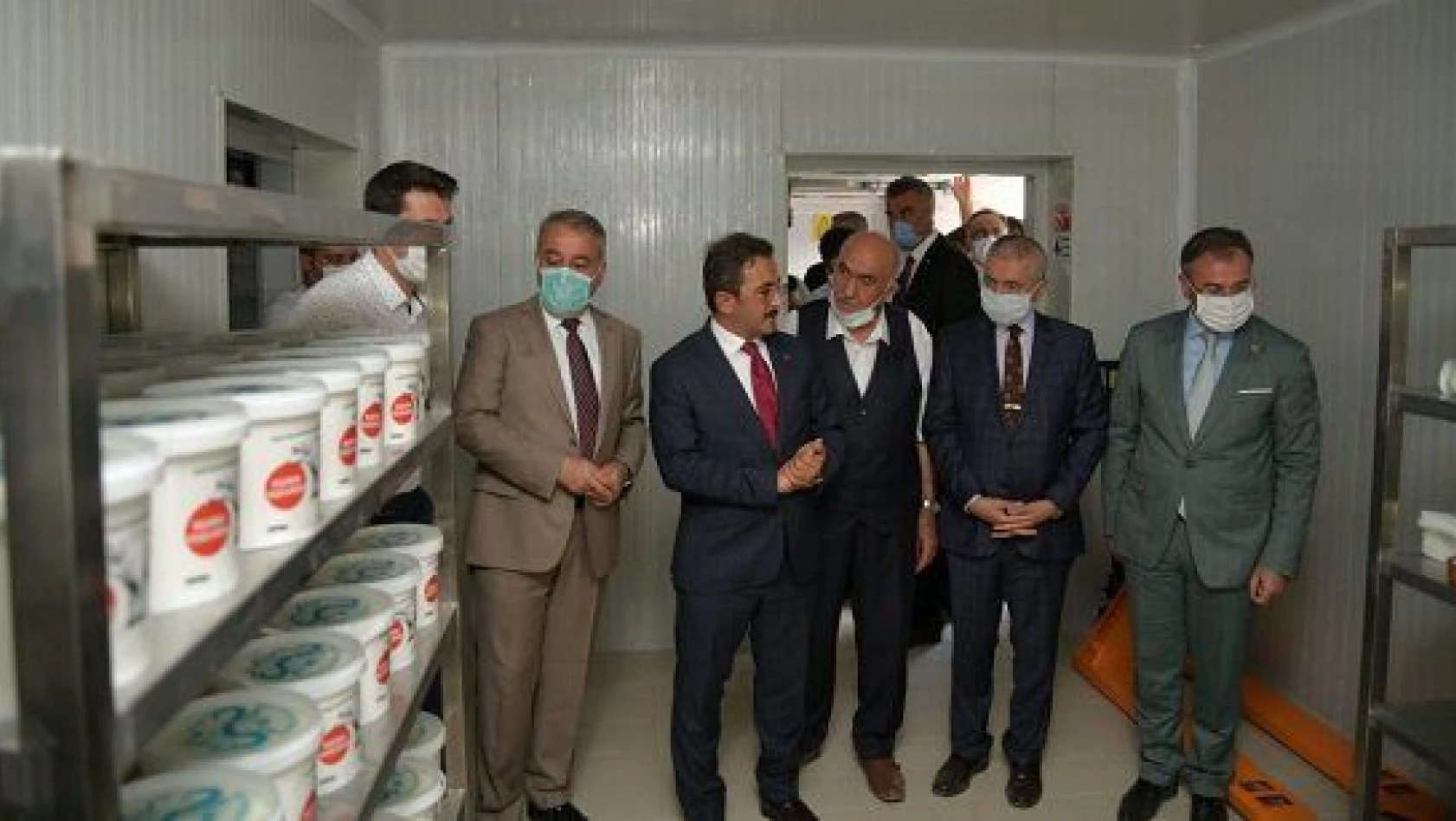 Kayseri'de manda sütü işleme tesisi açıldı