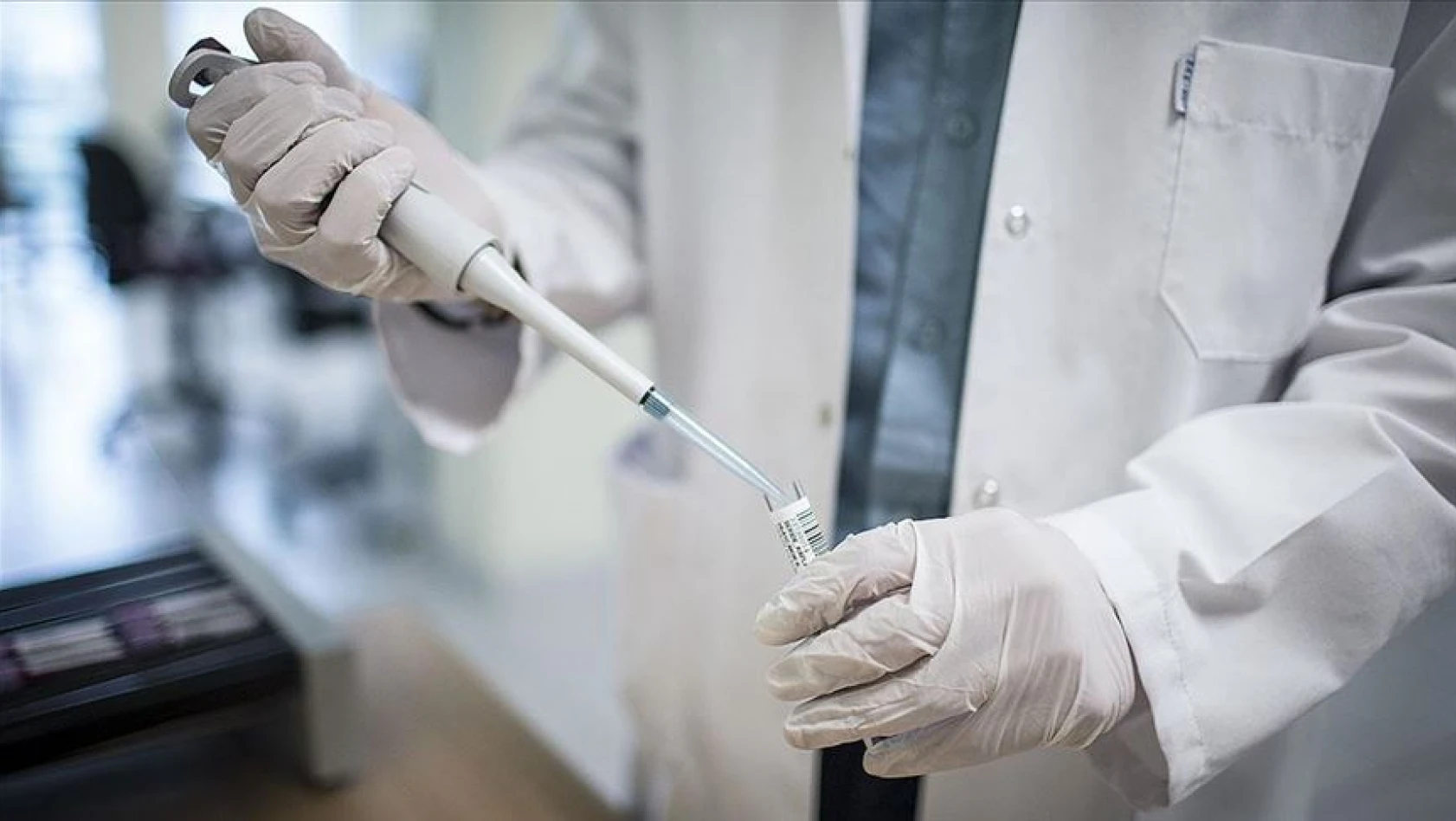 ERÜ'de hayvanlar üzerinde Covid-19 aşısı denemelerine başlandı