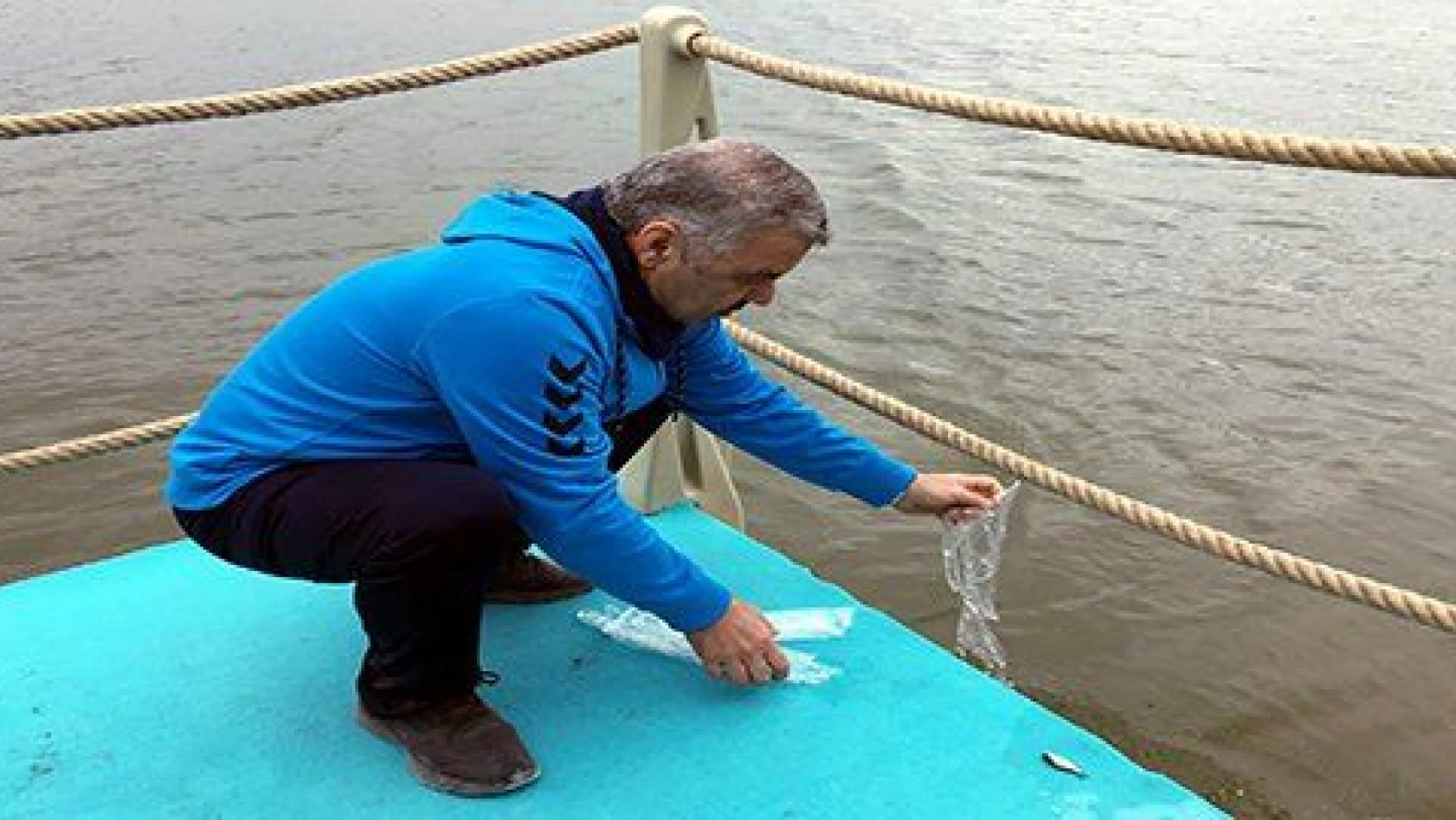 Doğa yürüyüşünde 120 bin pullu sazan balığı suyla buluşturuldu 