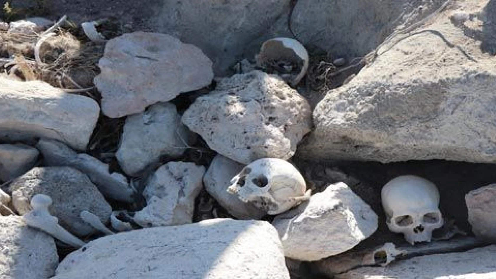 Suların çekilmesiyle ortaya çıkan kafataslarını belediye ekipleri mezarlığa defnetti