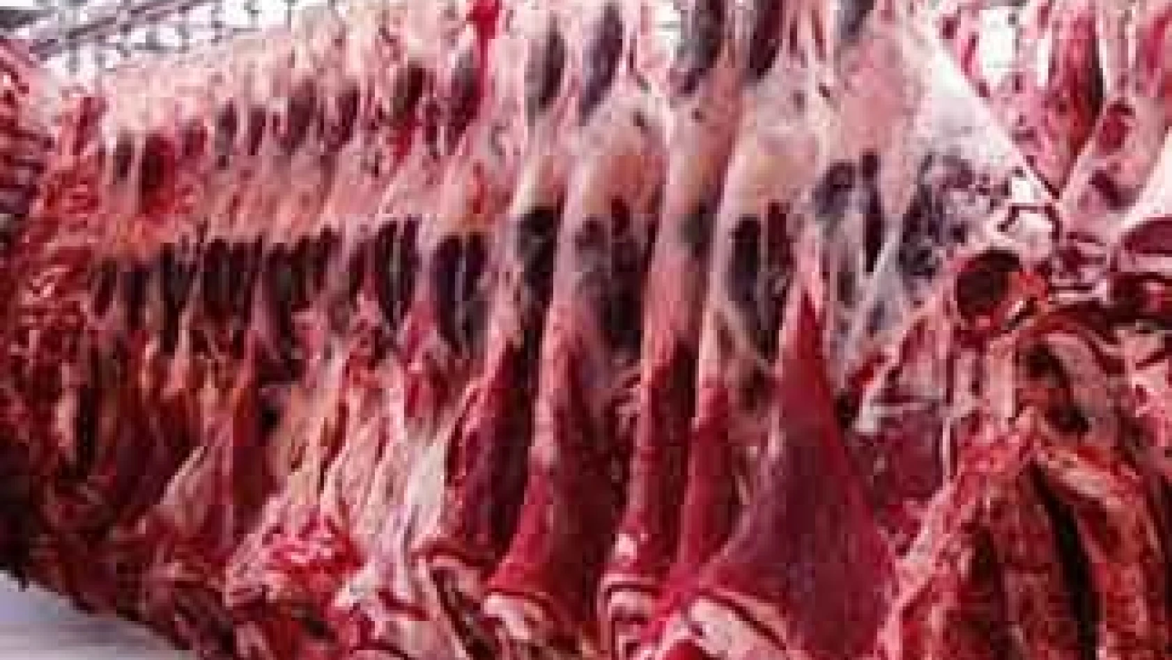 KTB'de Ağustos ayında 64 milyon liralık et işlem gördü
