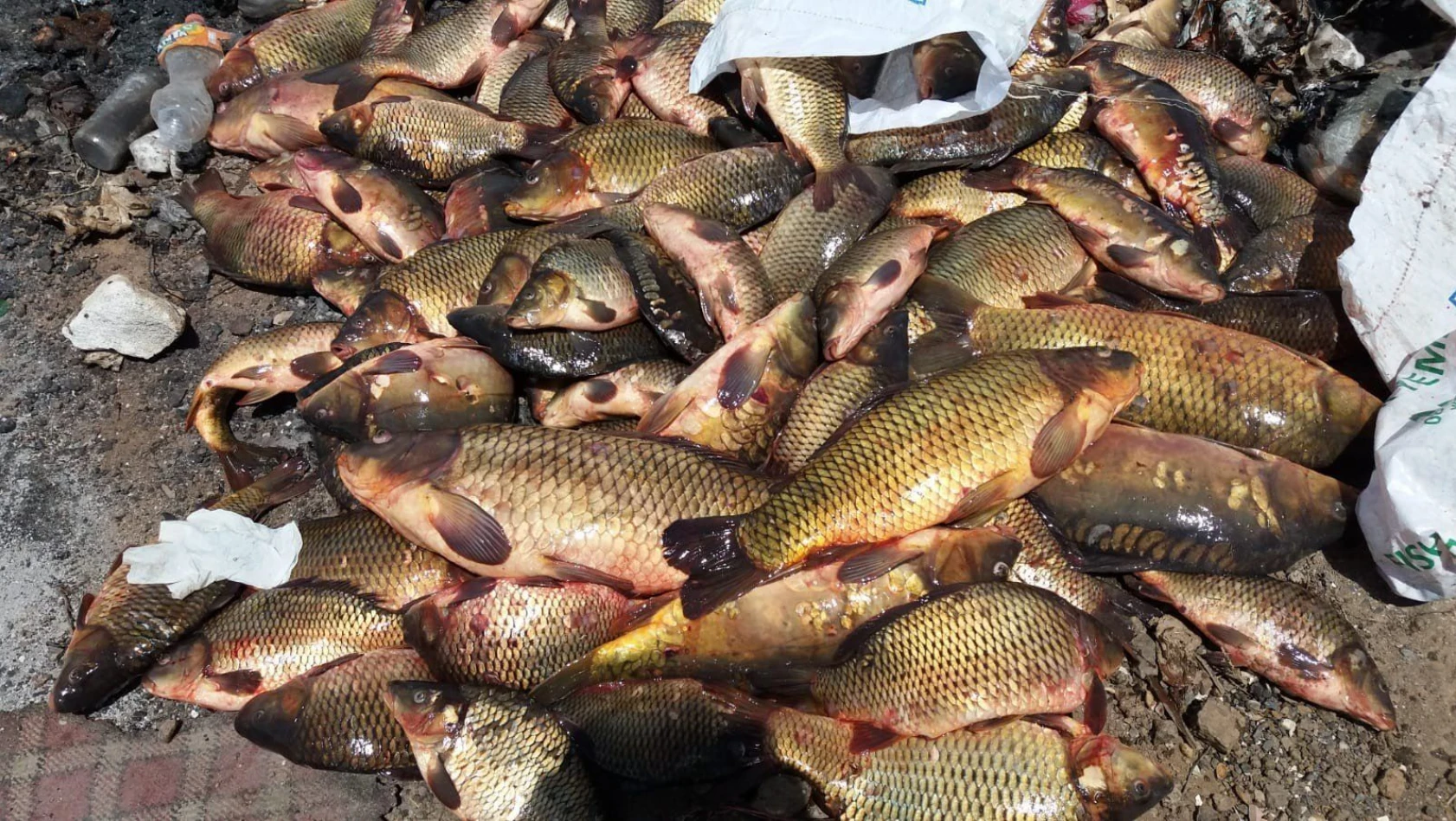Yasak malzemelerle balık avlayan 27 kişi hakkında işlem yapıldı