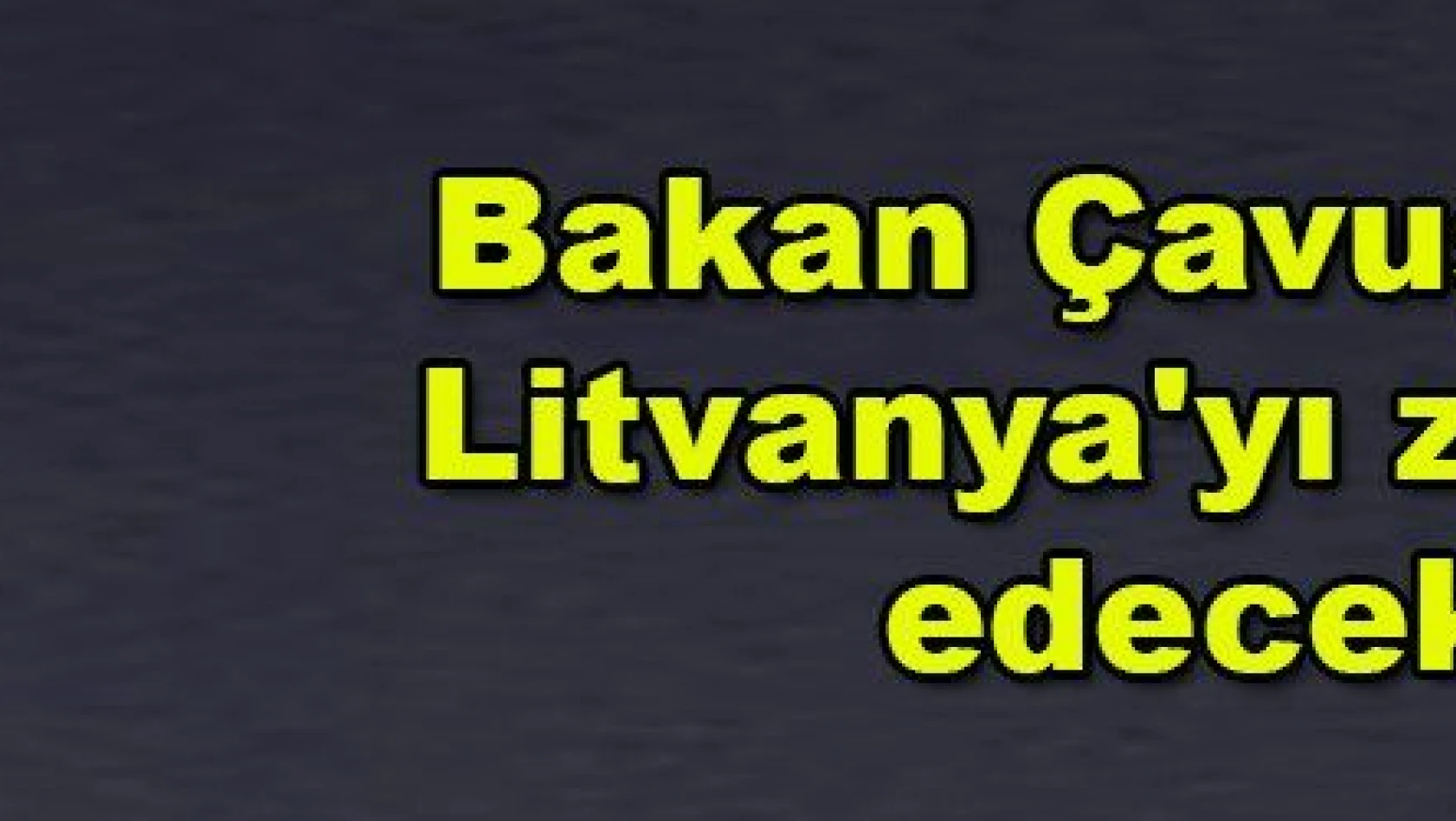 Bakan Çavuşoğlu, Litvanya'yı ziyaret edecek