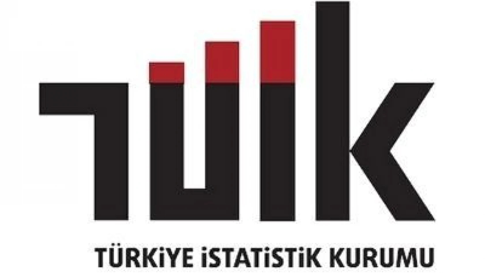 Türkiye İstatistik Kurumu Başkanlığı Sözleşmeli Bilişim Personeli alacak