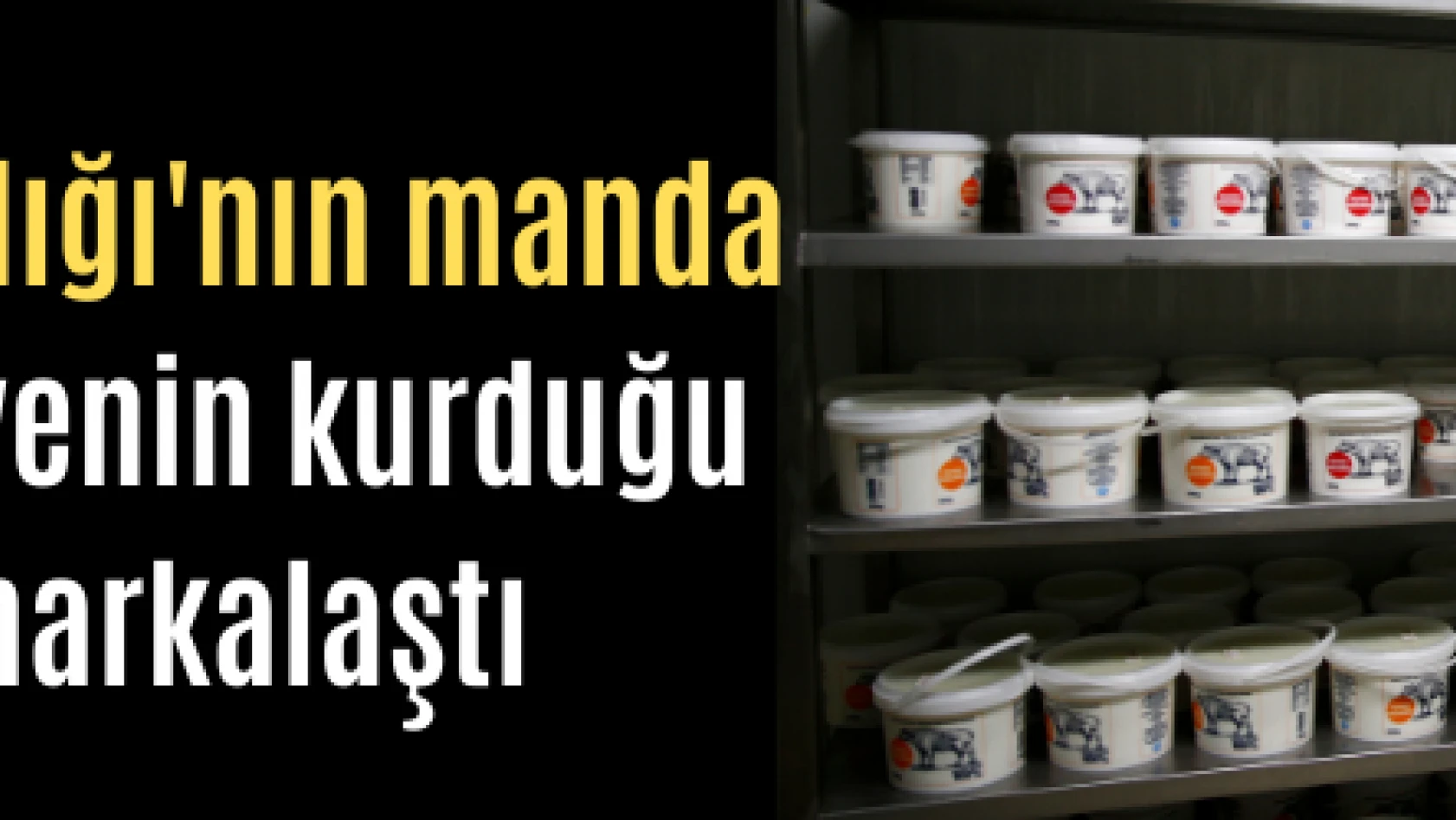 Hürmetçi Sazlığı 'nın manda sütü, belediyenin kurduğu tesiste markalaştı
