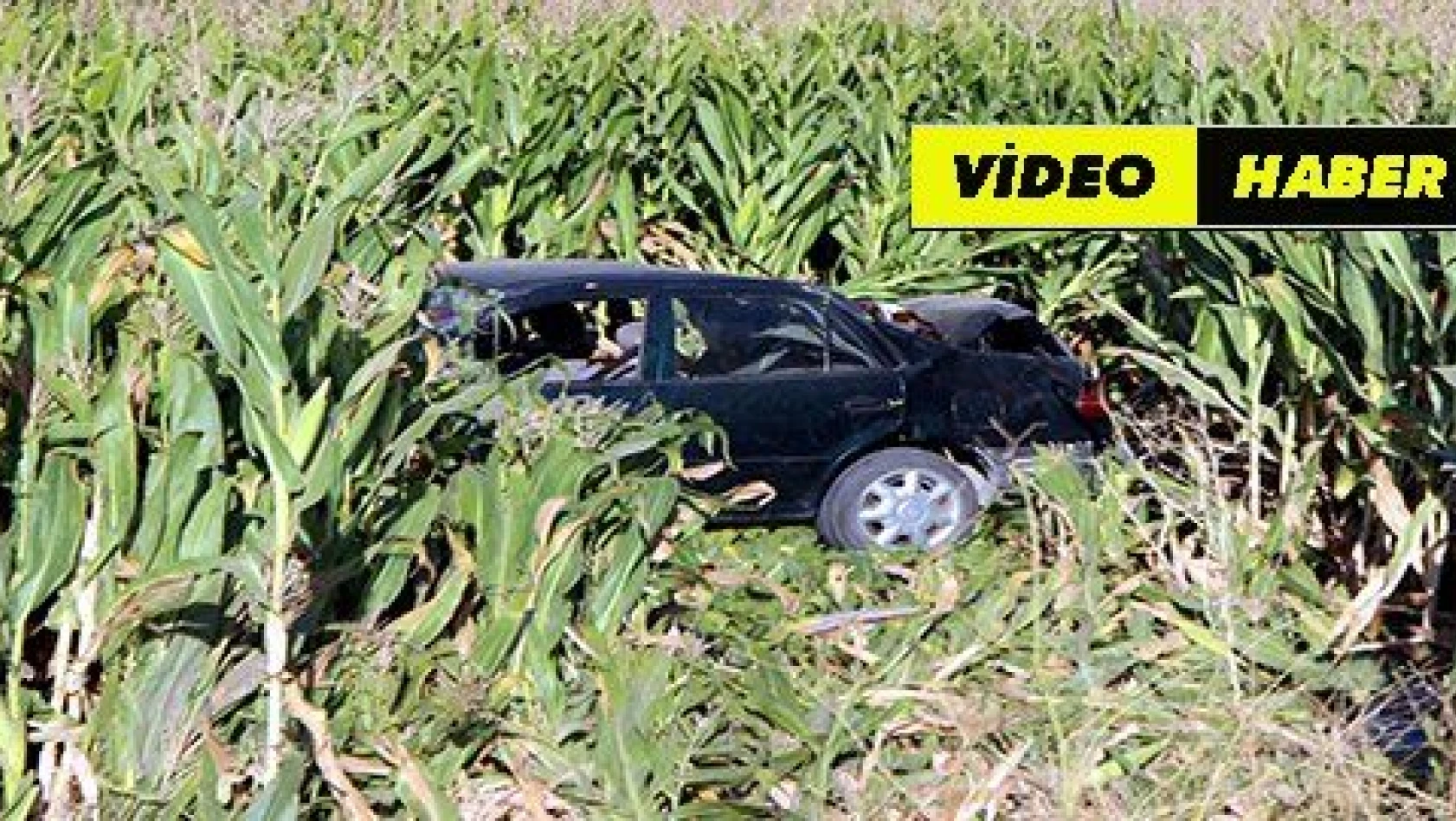 Otomobil mısır tarlasına uçtu: 2 yaralı