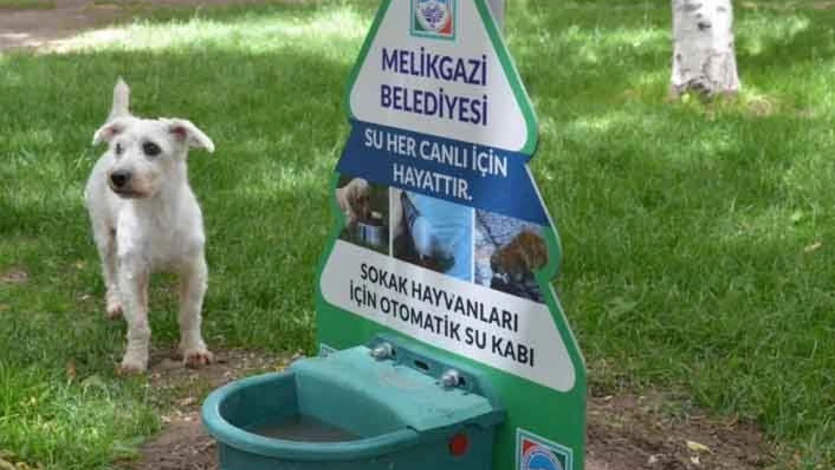 Melikgazi Belediyesi sokak hayvanlarını unutmadı 