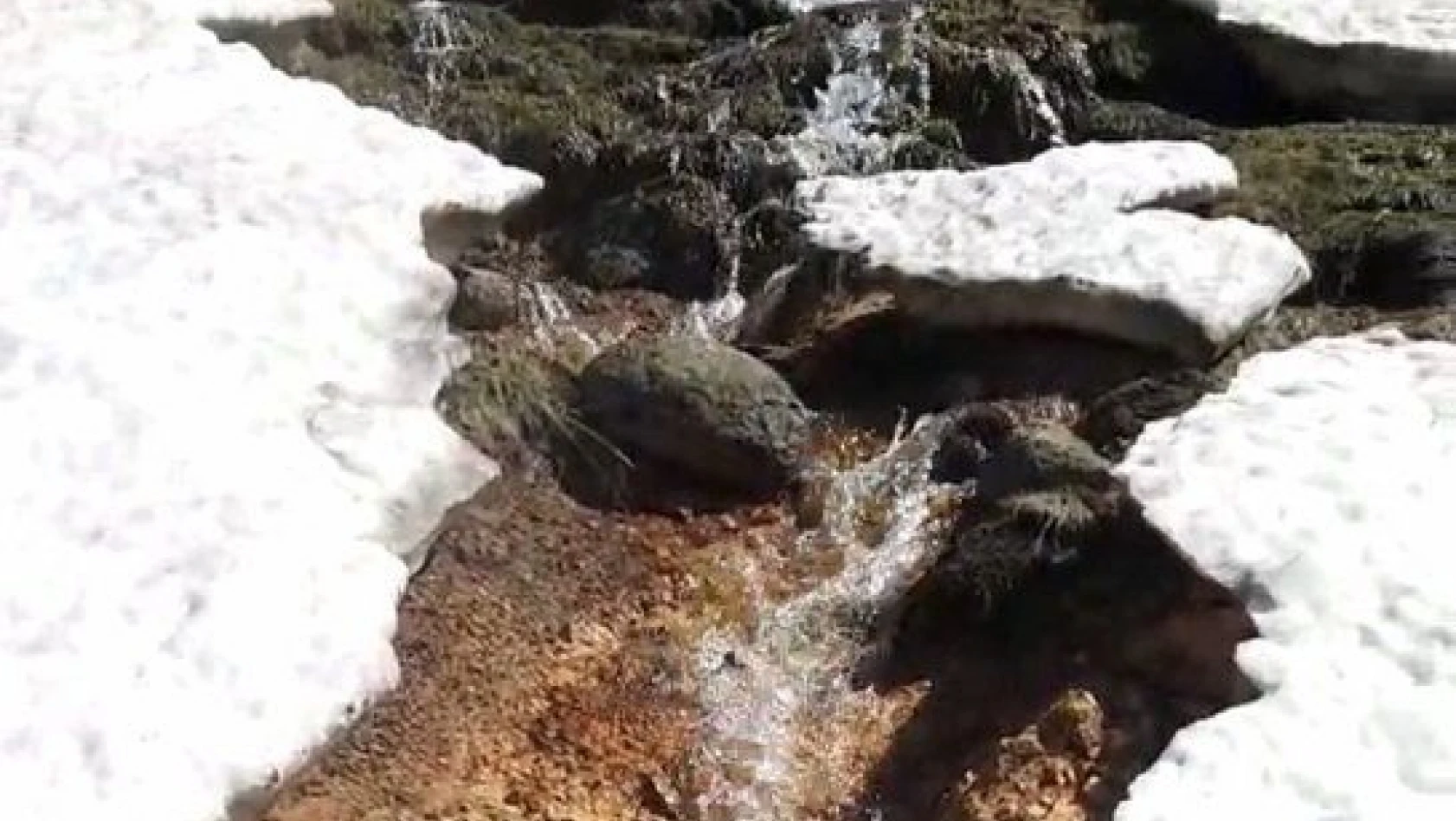 Erciyes'in eteklerinde karlar erimeye başladı
