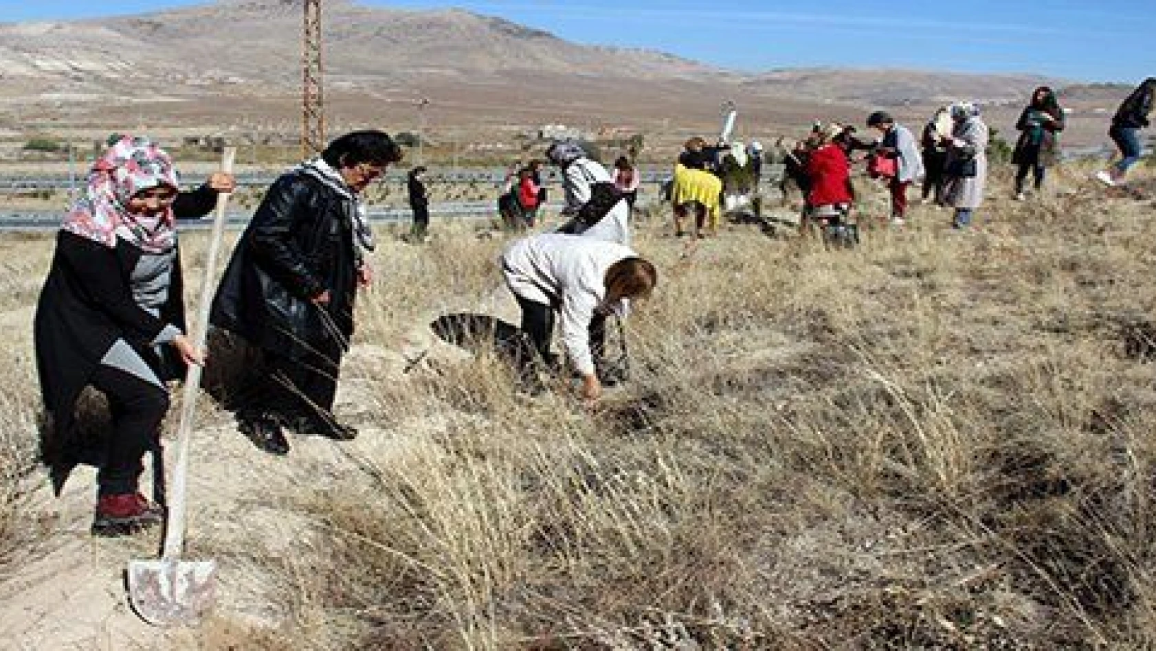 MHP Kadın Kolları fidanları toprakla buluşturdu 