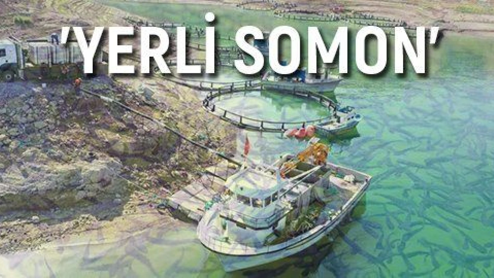 Denizi olmayan Kayseri'den Japonya ve Rusya'ya 'Somon' ihracatı