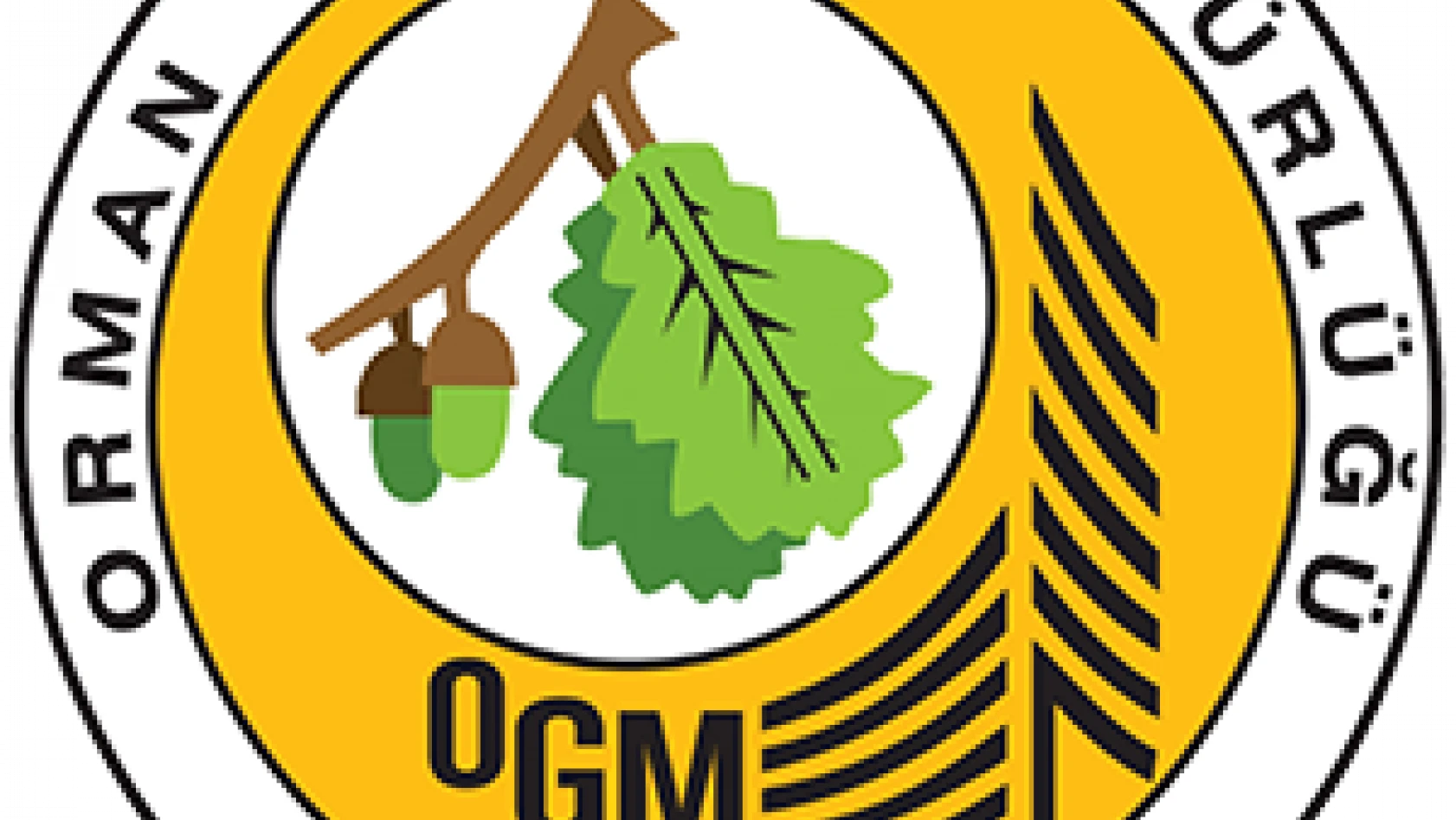 Orman Genel Müdürlüğü Sözleşmeli Personel alım ilanı