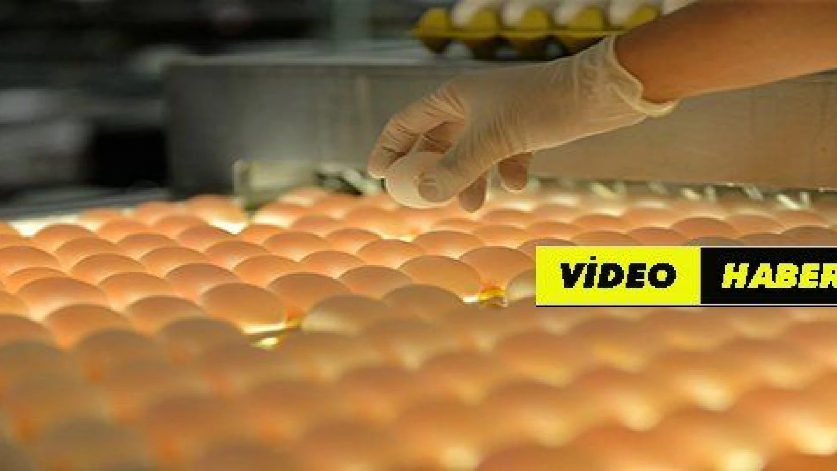 Türkiye'den ihraç edilen her 3 yumurtadan biri Kayseri'den
