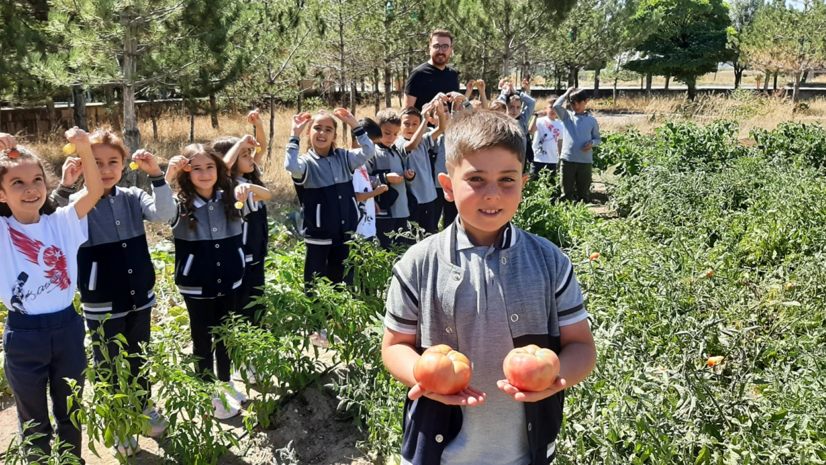 Öğrenciler okul bahçesinde yetiştirdikleri sebzeleri hasat etti