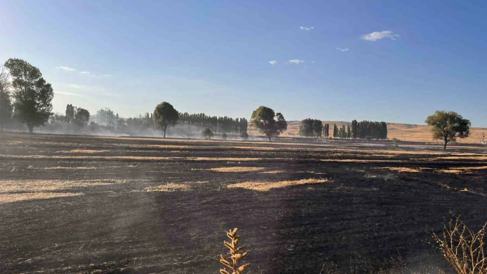 Yozgat'ta 500 dönüm buğday ekili alan 10 dakikada yandı