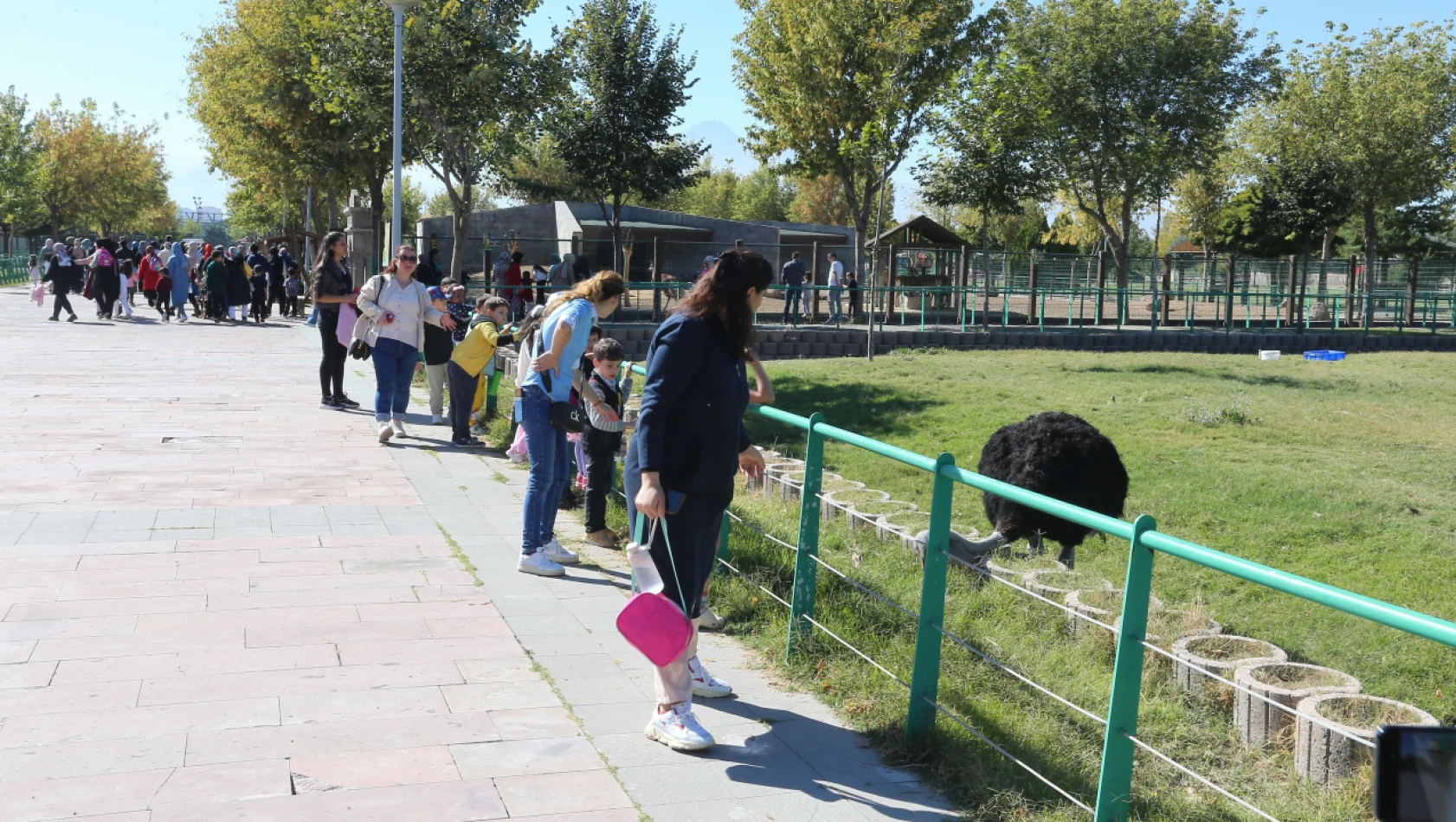 Büyükşehir'den Hayvanları Koruma Gününe özel jest