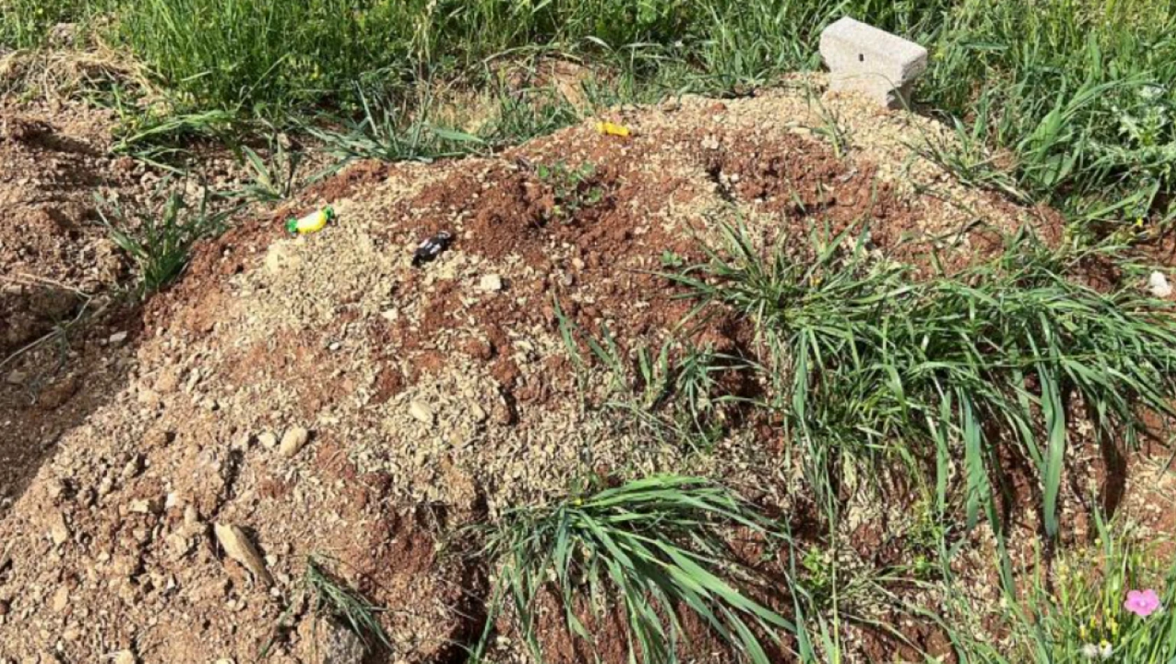 Kahramanmaraş'taki olayda küçük kızın mezarına bayram şekeri bırakıldı...