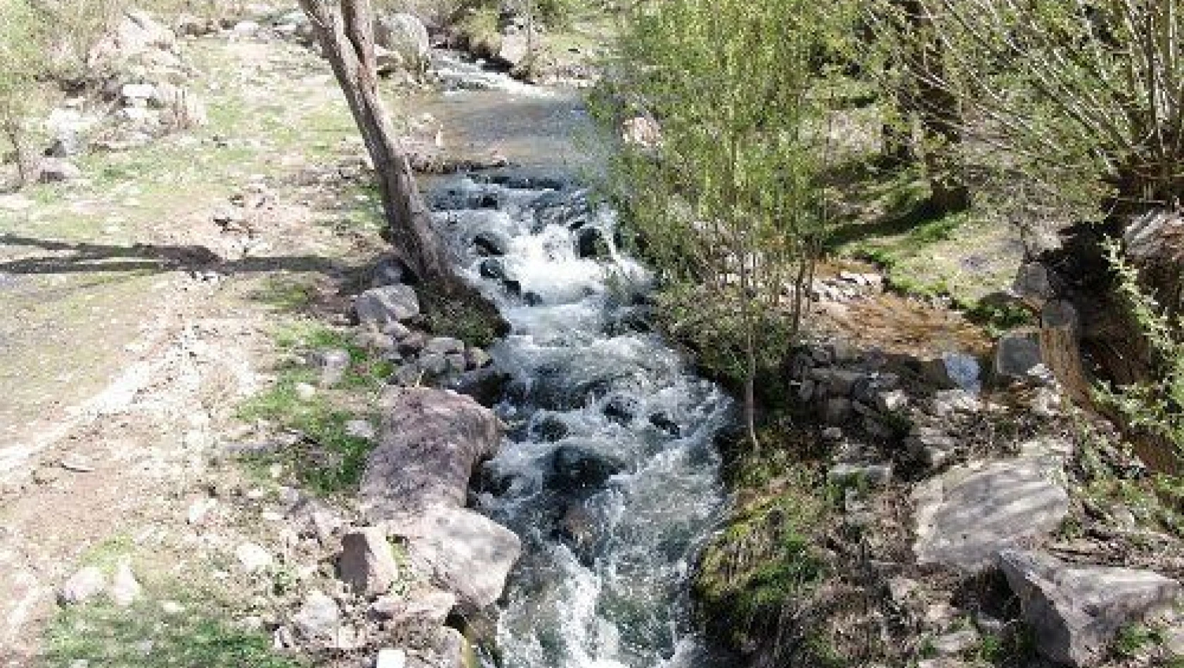 Kırlangıç Vadisi yeşile büründü