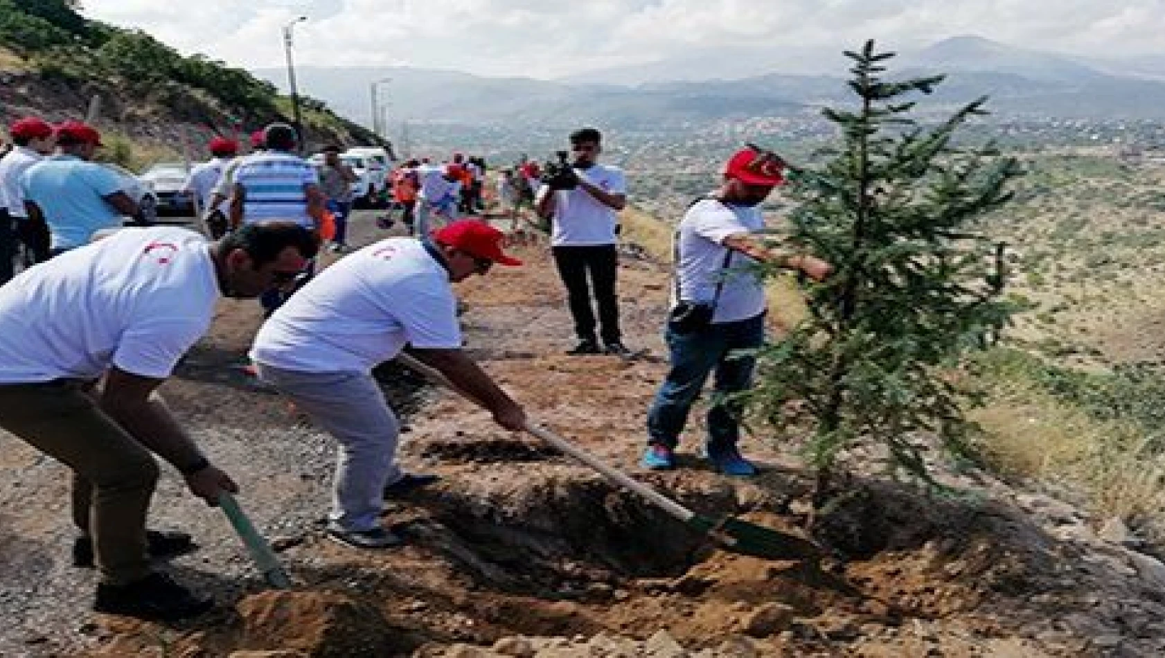 Gazeteciler ağaç dikti 