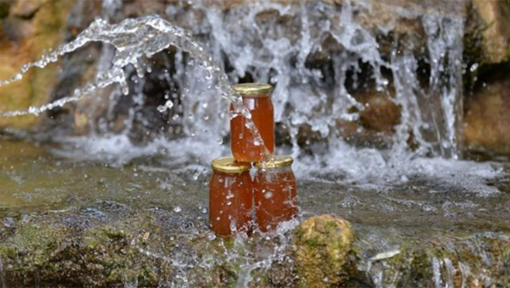 Özvatan Çiçek Balı Prolin Değeriyle dikkat çekiyor