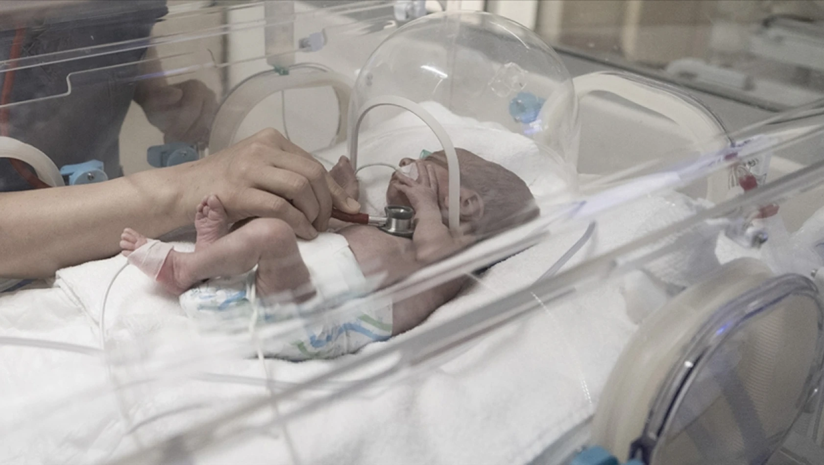 Türkiye'de bakın kaç bebek prematüre doğdu?