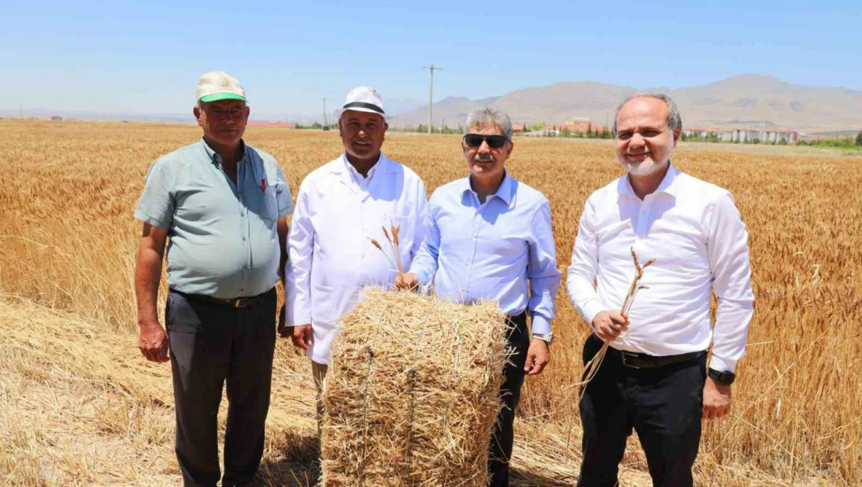 Üniversitelerde hasat başladı!