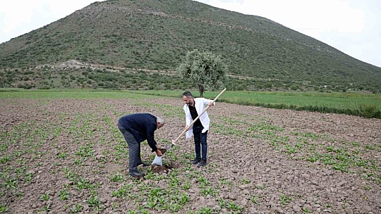 Talas Belediyesi'nden birçok çiftçiye destek