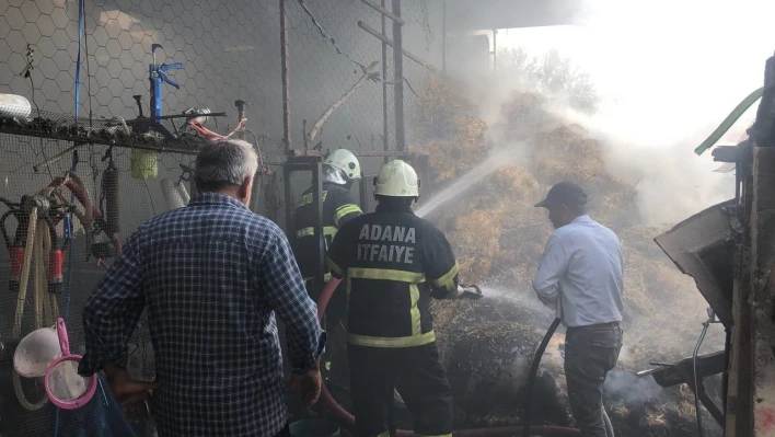 Adana'da feci yangın - 15 büyükbaş hayvan telef oldu!