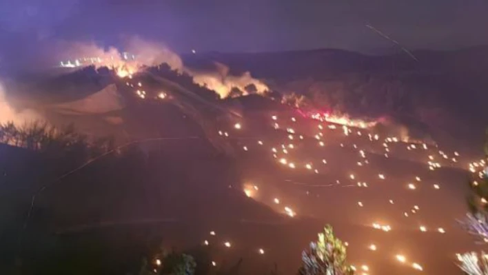 Adana'da korkutan orman yangını!