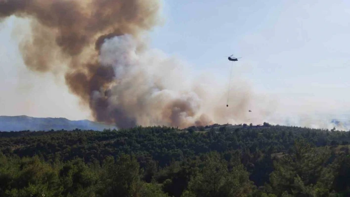 Adana'da orman yangını: Havadan ve karadan müdahale başladı