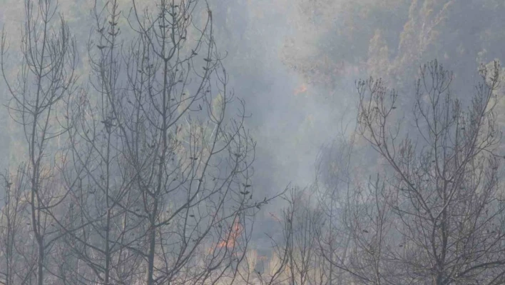 Adana'da orman yangınına havadan ve karadan müdahale devam ediyor