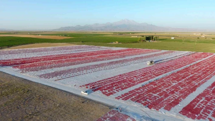 Erciyes'in etekleri kırmızıya boyandı