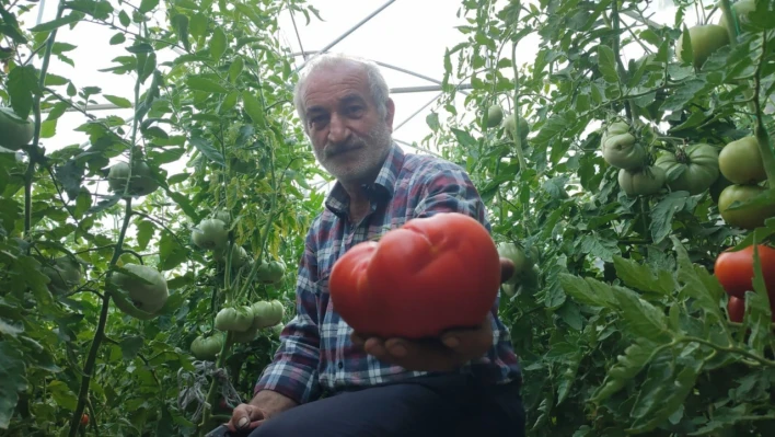 Erzurum'da Görenleri Şaşırtıyor!