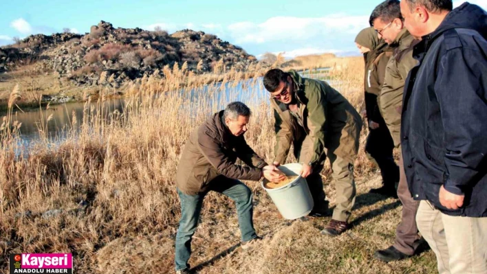 Hürmetçi Sazlığı'nda yemleme çalışması yapıldı