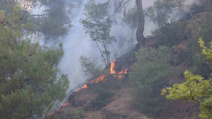 Kahramanmaraş'ta orman yangınına müdahale devam ediyor!