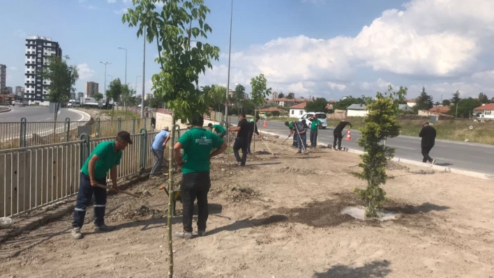 Kayseri Büyükşehir Belediyesi'nden Yeşil Dokuya Katkı!