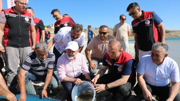 Kayseri'de 1 milyon 500 bin sazan balığı sulara bırakıldı!