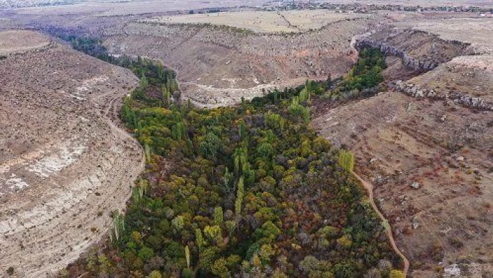 Koramaz Vadisi araç trafiğine kapatıldı