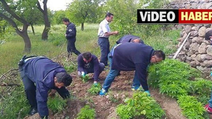 Kayseri'de uyuşturucu operasyonu: 2 gözaltı