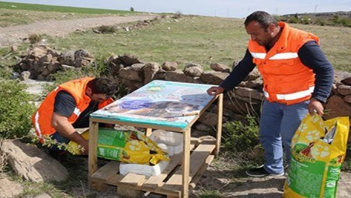 SOKAK HAYVANLARI MELİKGAZİ'DE SAHİPSİZ KALMIYOR