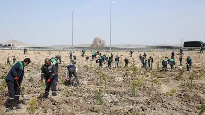 Baharın gelmesiyle fidan dikimine başladı